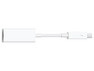 Apple Thunderbolt - Gigabit Ethernet adapter
