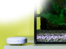 Popp Flood / Water Leakage Sensor