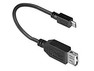 Dinic USB OTG adapter, 10 cm
