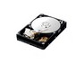Samsung HD501LJ/HD502LJ (500 GB)