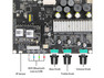 Arylic Up2Stream AMP 2.1 + case