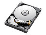 Samsung HM100UI (1 TB)
