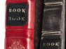 Twelve South BookBook Pro 15 Red